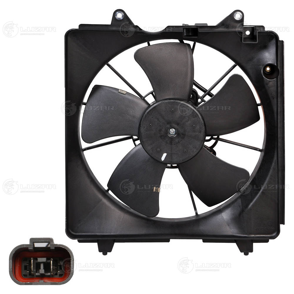 19020RSAG01