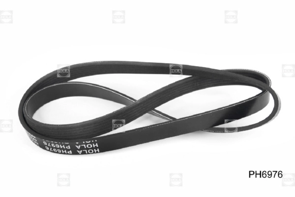 PH6976