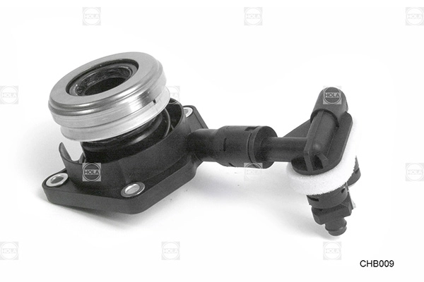 CHB009