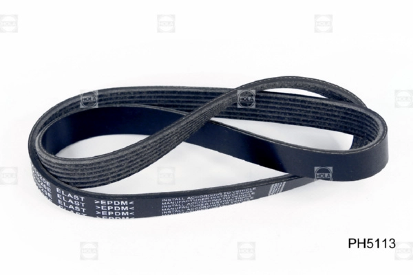 PH5113