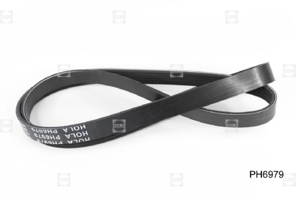 PH6979