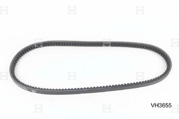 VH3655