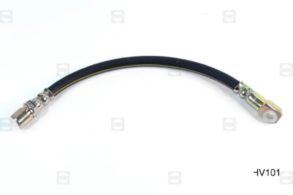HV101