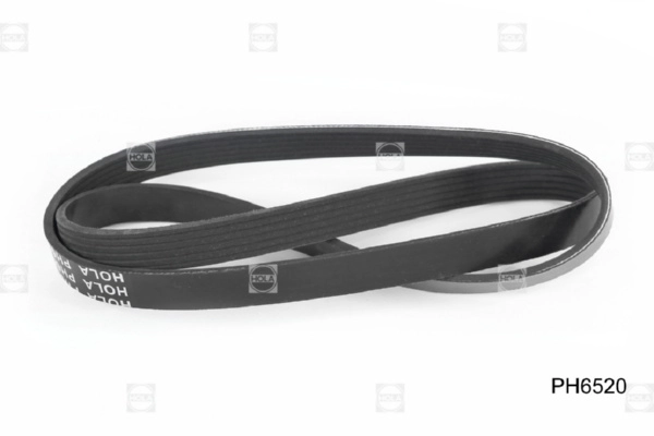 PH6520