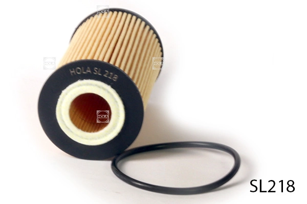 SL218