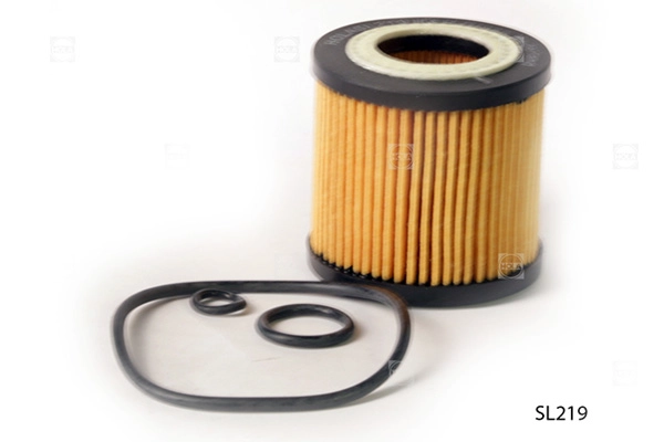 SL219