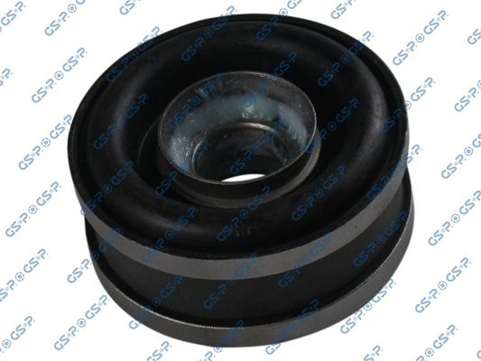 GSP-513565