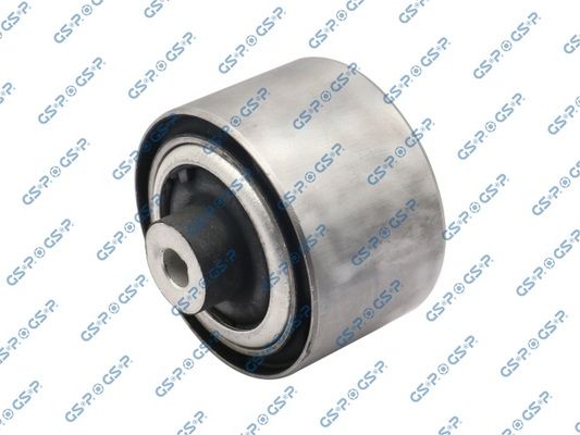 GSP-533928
