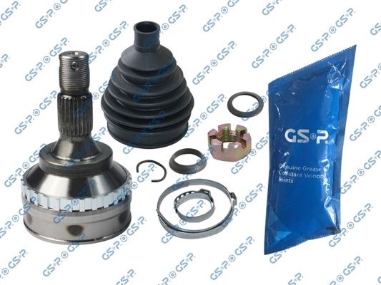 GSP-810058