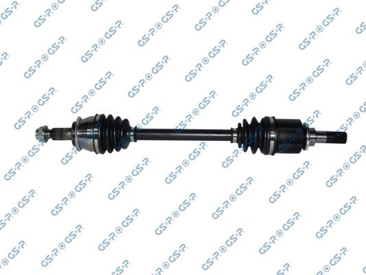 GSP-299288