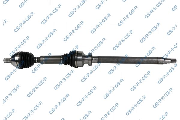 GSP-204519