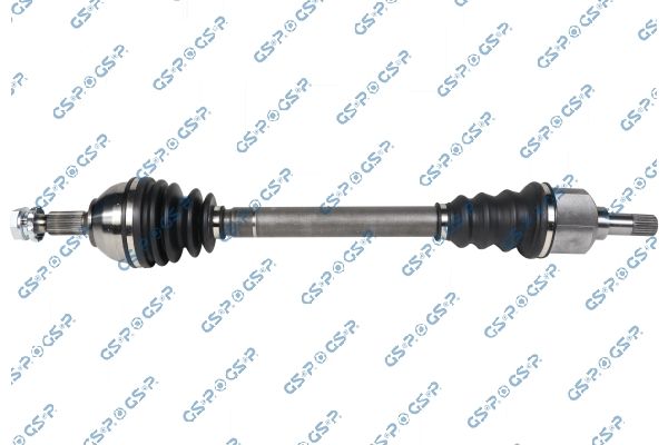 GSP-204395