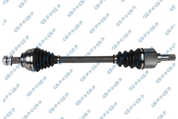 GSP-204007