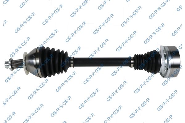 GSP-204181