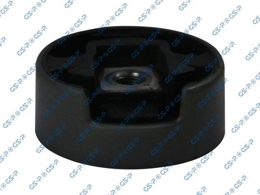 GSP-510338