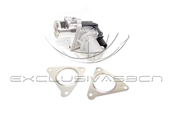 EEG-HK07