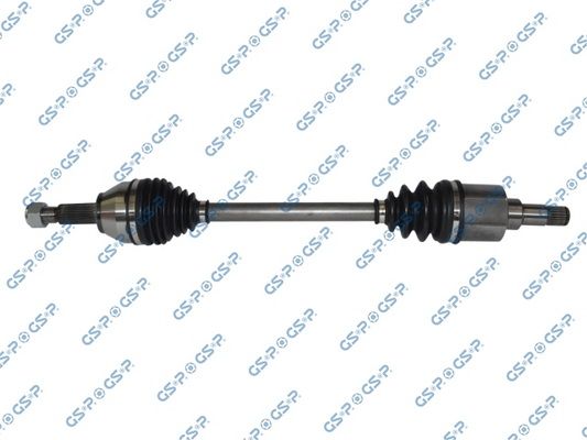 GSP-201306