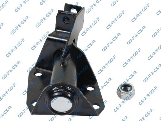 GSP-S010020