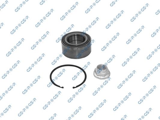 GSP-GKX0079