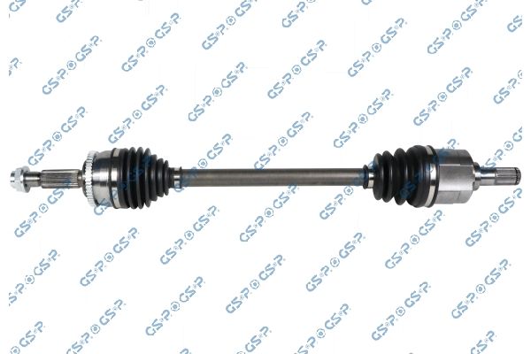 GSP-224560