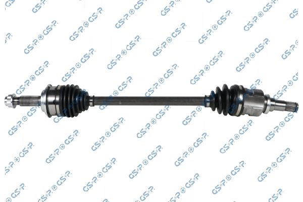 GSP-204524