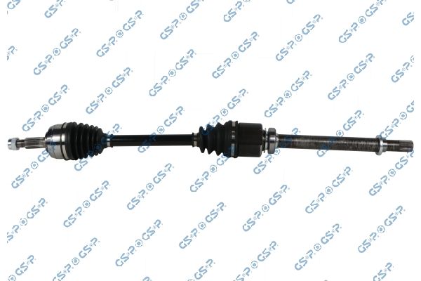GSP-203897
