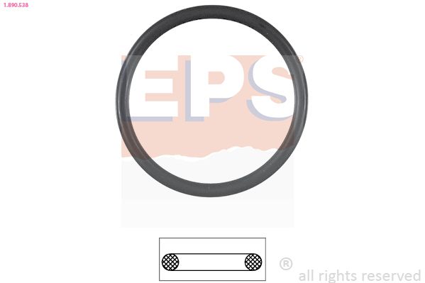 EPS-1890 538