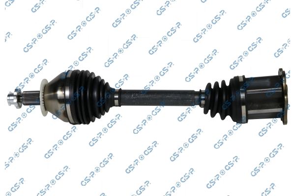 GSP-204317