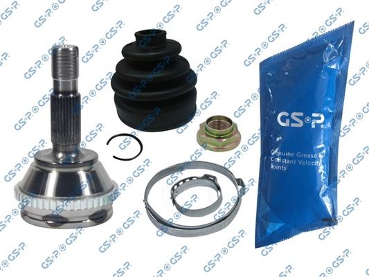 GSP-899317