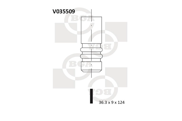 V035509