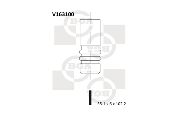 V163100