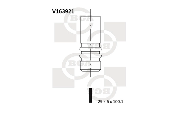 V163921