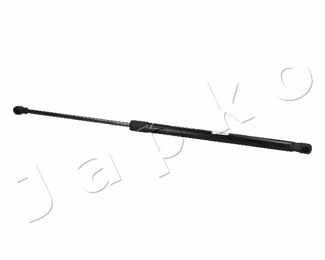 ZSJ06010