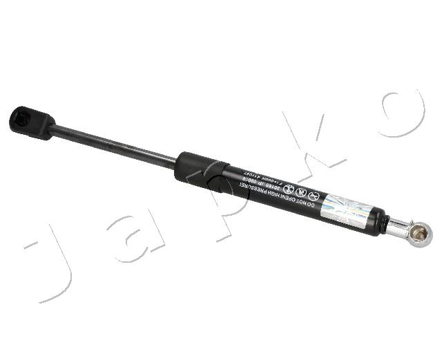 ZSJ09016