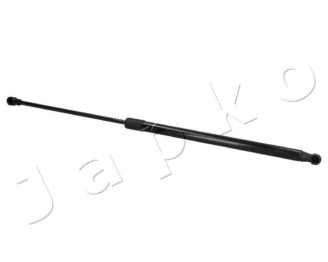 ZSJ07029