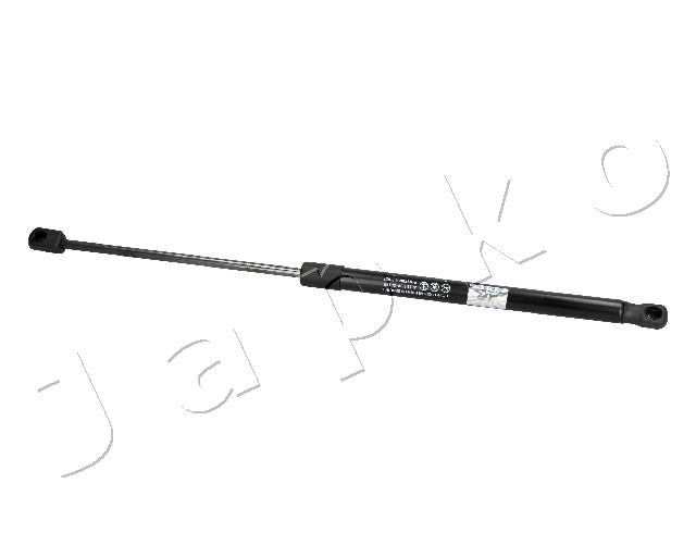 ZSJ09175