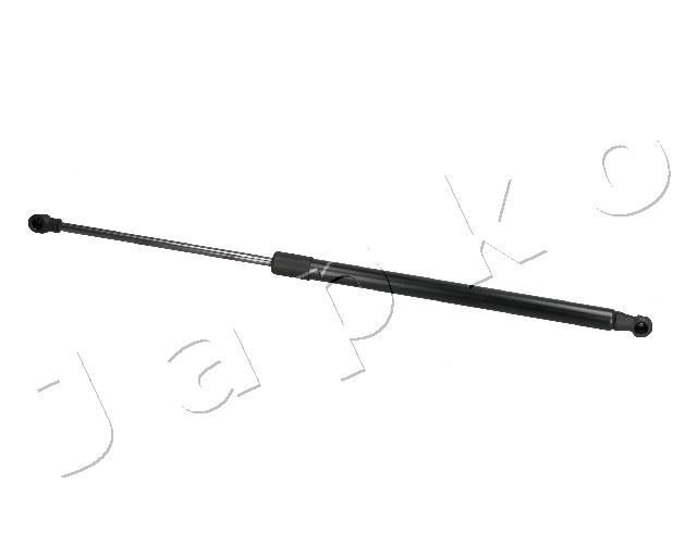 ZSJ10009