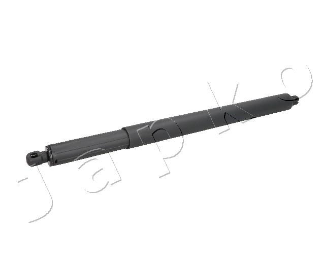 ZSJ01100