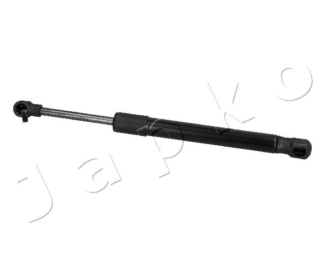 ZSJ10056