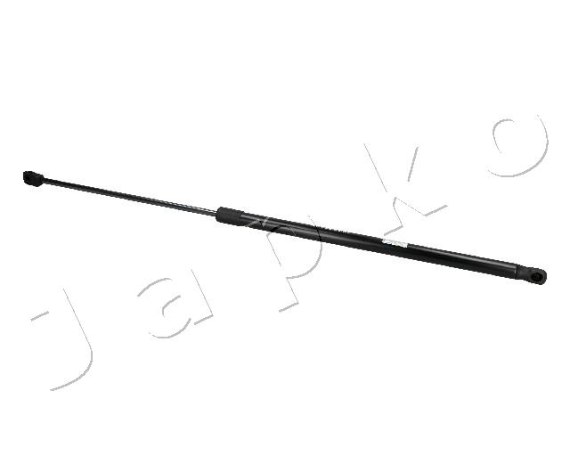 ZSJ09221