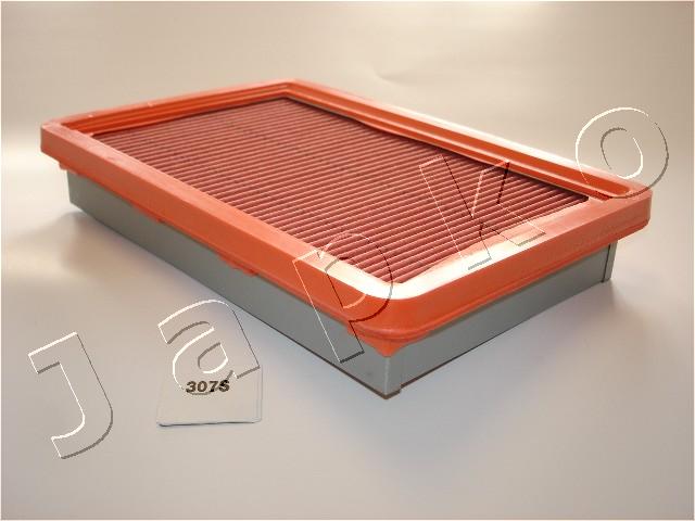 20307