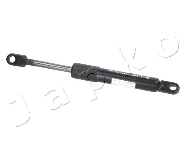 ZSJ01065