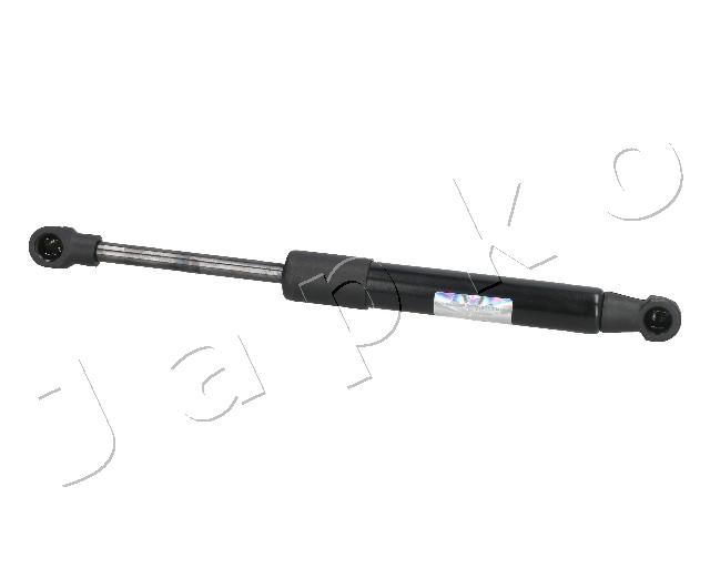 ZSJ09101