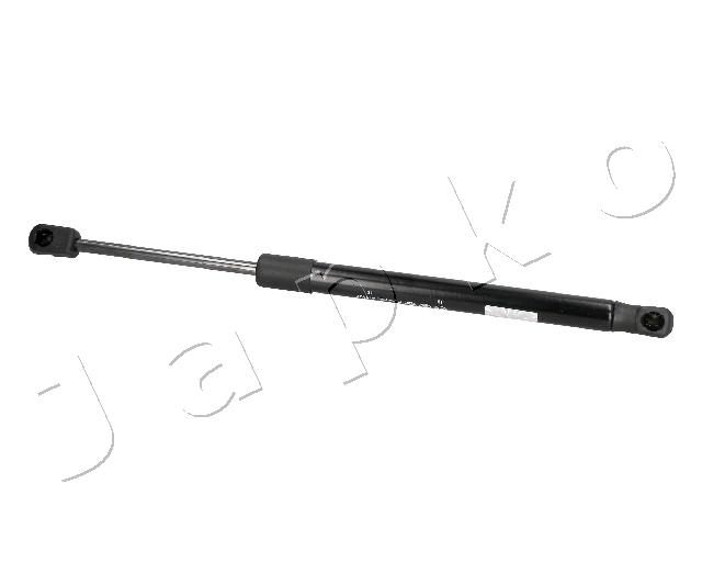 ZSJ09205