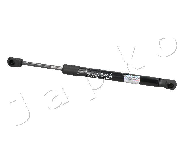 ZSJ09045