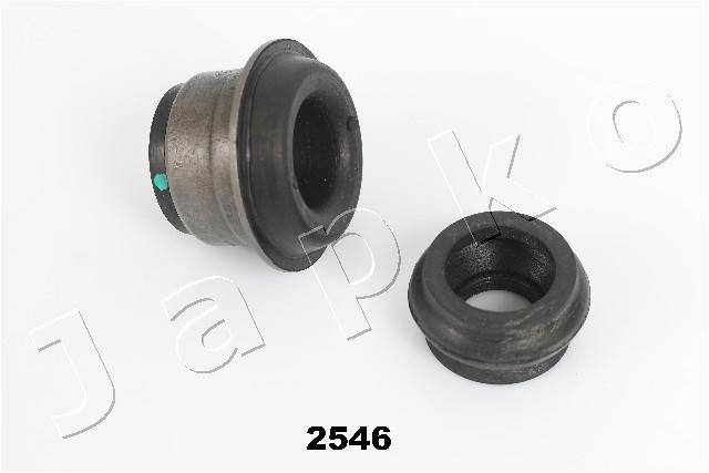 GOJ2546