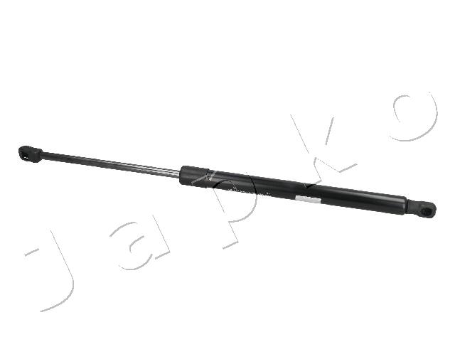 ZSJ09055