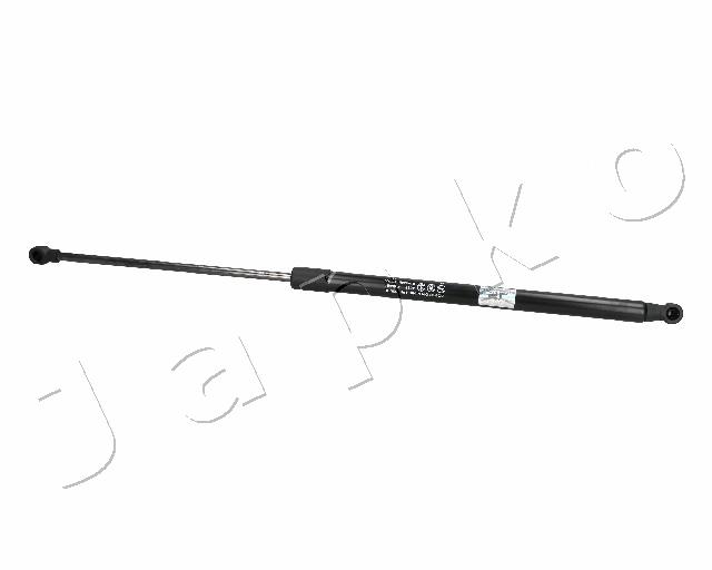 ZSJ06081