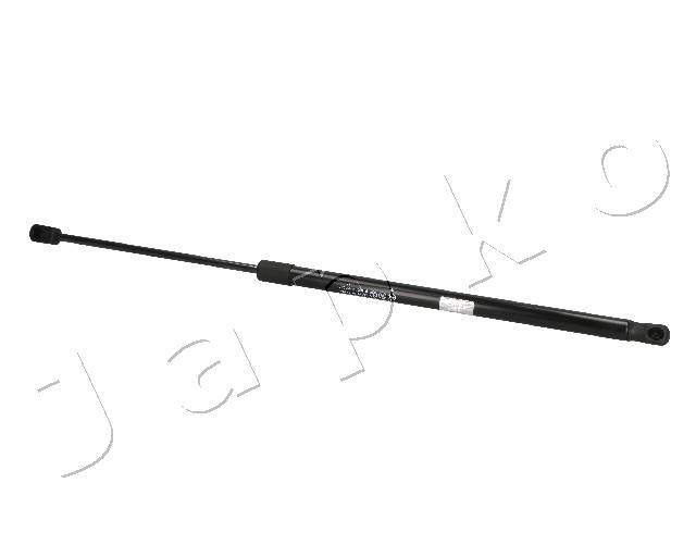 ZSJ09184