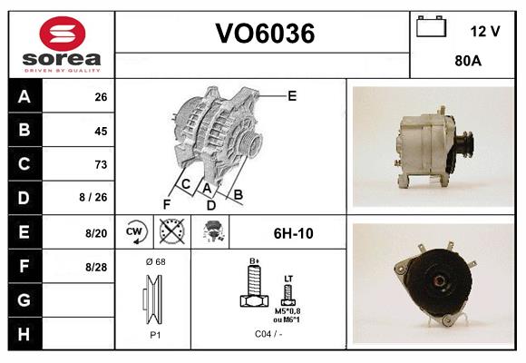 VO6036